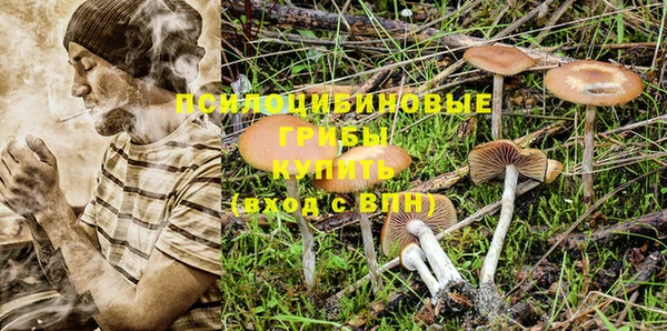 MDMA Premium VHQ Богородск