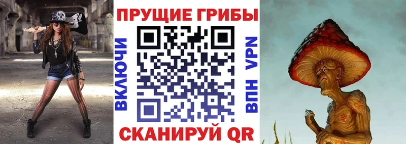 Псилоцибиновые грибы GOLDEN TEACHER  купить наркотики цена  Каменка 